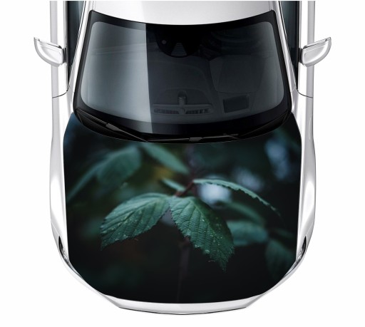 Наклейка на маску листя 150x115 см плівка 3м