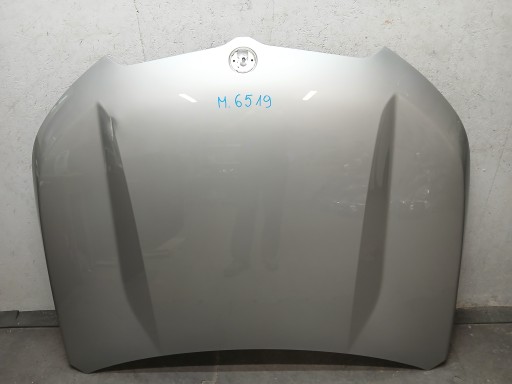 Capot BMW X1 U11