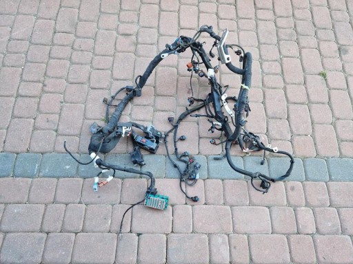 cablaggio cablaggio Motore Opel Insignia B 39202028