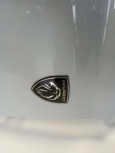 fender left PEUGEOT 308 T10 PERLA