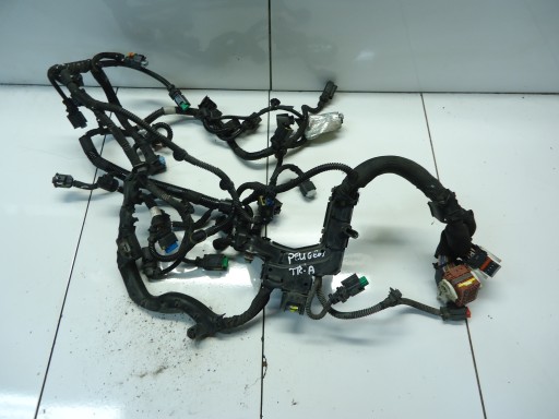 CITROEN C3 PEUGEOT 308 1.6 E-HDI Cablaggio motore usato 9803041980