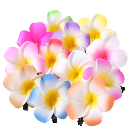 FRCOLOR 24Pcs 24 Inch Hawaiian Plumeria Flower