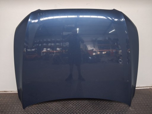 0309 - Капот передній audi q5 8r 08-12 lz5b