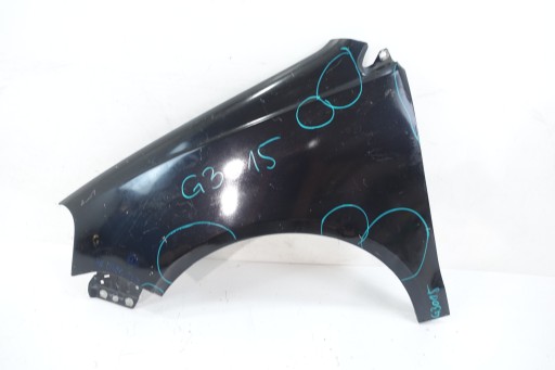 VW POLO IV LIFT 2005- fender front left front