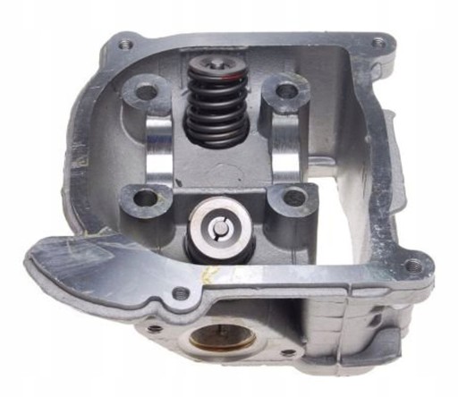 7687438787987 - Головка цилиндра 80CM3 4T WILGA Vapor большие клапаны