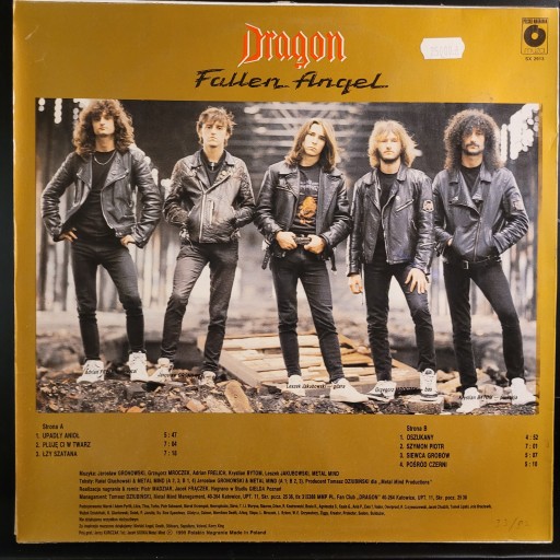 Dragon - Fallen Angel LP 14901385743 - Sklepy, Opinie, Ceny w Allegro