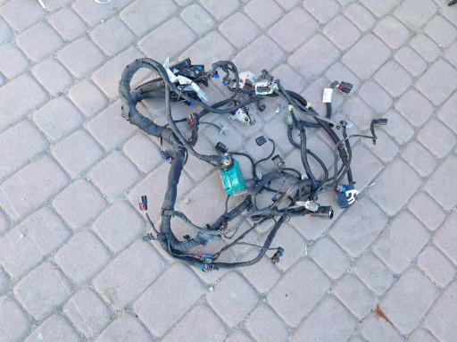 cablaggio cablaggio Motore Opel Insignia B 39136607