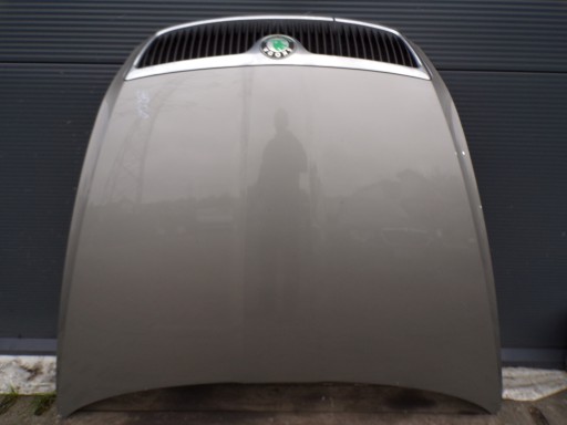 bonnet SKODA OCTAVIA 2 II colour 9202 (1)