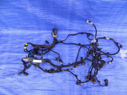 9824132680 - УСТАНОВКА ЖГУТА ПРОВОДОВ CITROEN DS7 2,0 HDI