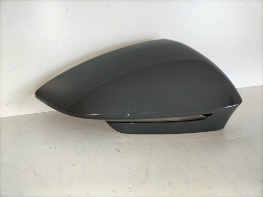 cover cap mirrors right VW TIGUAN III 24