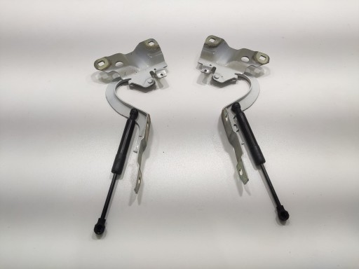 hinge bonnet hinges left right KOMPLET RENAULT ZOE and 2013-2019
