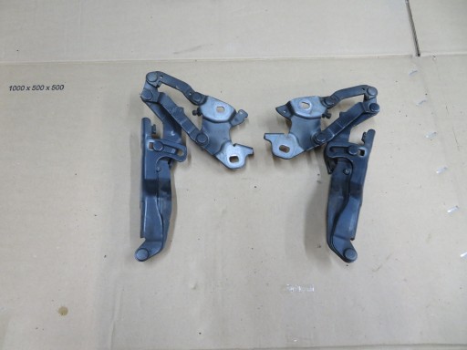 7289998-04 - Петля капота ліва і права передня BMW 3 E92 E93