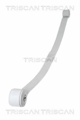 8765 16048 - ФОРД ЗАДНЯ РЕСОРА TRANSIT CUSTOM TRANSIT MK 8 12- (1 ЛИСТ) (695/680) ШИР. 60