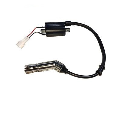 T38133 - КАТУШКА ЗАЖИГАНИЯ (ZONTES ZT 310-X)