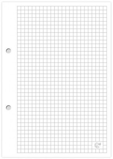 Вкладиші для швидкозшивача, формат А5, 100 шт.