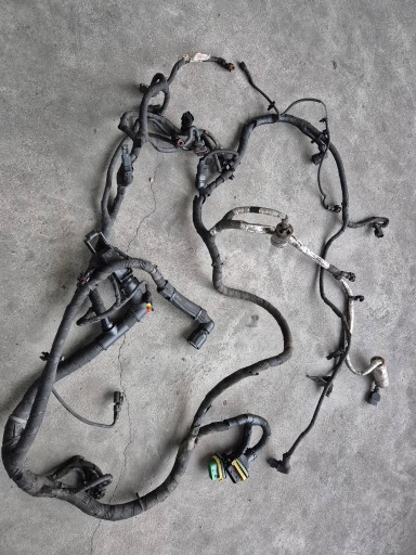 Жгут для установки двигателя грузовики ford f-max 500 jc46-12a690