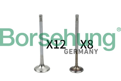 B18635 - ВИХЛОПНІ ВСМОКТУВАЛЬНІ КЛАПАНИ KPL BORSEHUNG