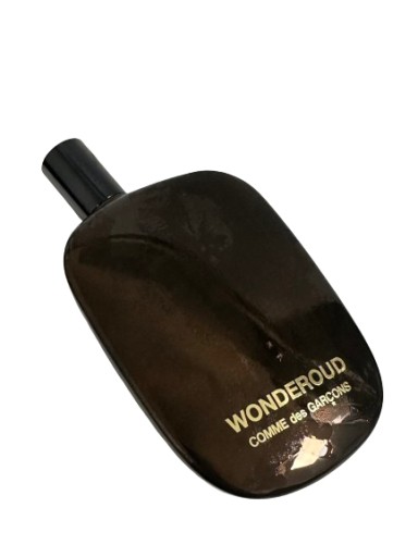 comme des garcons wonderoud