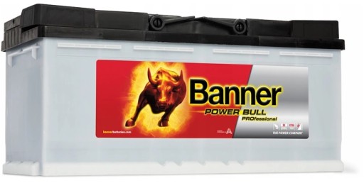 P11040 - АККУМУЛЯТОРНАЯ БАТАРЕЯ 110AH / 850A P + POWER BULL PROFESSIONAL