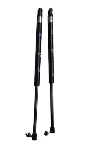 CITROEN C4 und PICASSO SILOWNIKI heckklappe Halter BOLCE