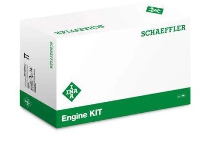 529 0009 - КОМПЛЕКТ ПОЛІКЛИНОВОГО РЕМЕНЯ RENAULT