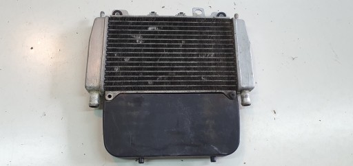 Piaggio X10 125 кулер