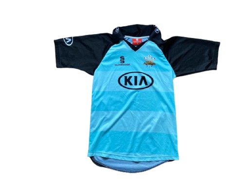 SURRIDGE SURREY COUNTY CRICKET ФУТБОЛКА ДЛЯ КРИКЕТУ S