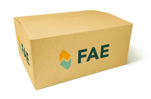 Датчик обертання валу FAE 79233 1238911