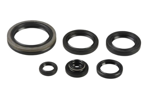 P400510400241 - Комплект герметиків двигуна Athena