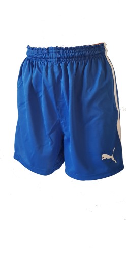 Шорти Puma V5.06 L відтінків синього