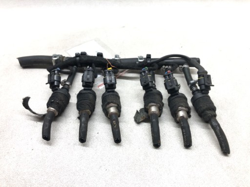 ВПРЫСК ДЛЯ СЖИЖЕННОГО ГАЗА 6 CYL