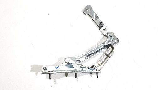 ПЕТЛЯ КРИШКИ БАГАЖНИКА ЛІВА TESLA 3 1092820-00-C