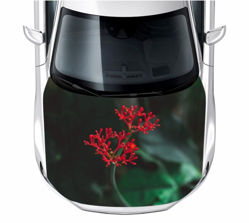 Наклейка на маску квітка квіти 150x115 см фольга 3м