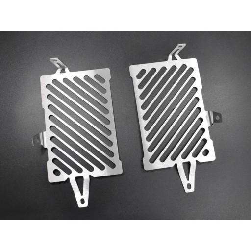 10001459 - РЕШІТКА РАДІАТОРА ZIEGER BMW R 1200 GS LC 13-14