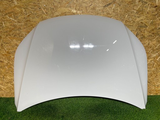 5N0823031D - Капот капот vw tiguan i 5n 5n0