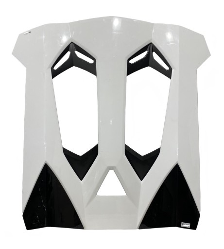 LAMBORGHINI AVENTADOR ROADSTER rear trunk door bonnet