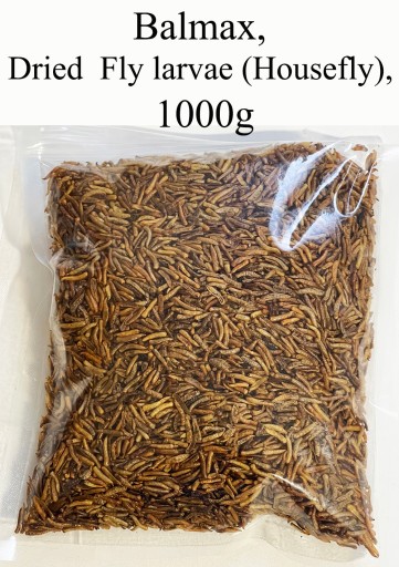 Suszone larwy much (mucha domowa), dla ryb, 1kg