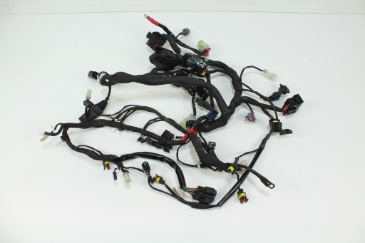 45678654324567865436548 - DUCATI MONSTER 1100 EVO 11-ЖГУТ ПРОВОДОВ