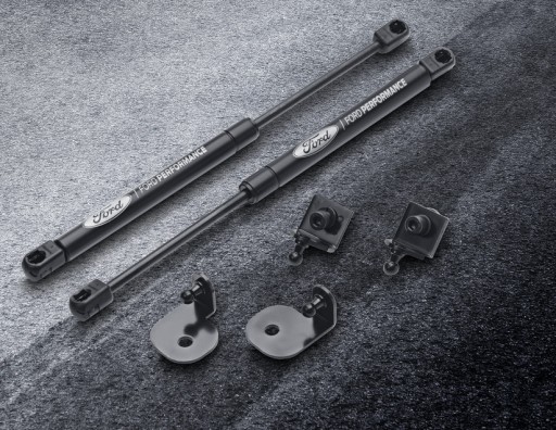 2215896 - АМОРТИЗАТОРИ КАПОТА FORD MUSTANG 2015-OE