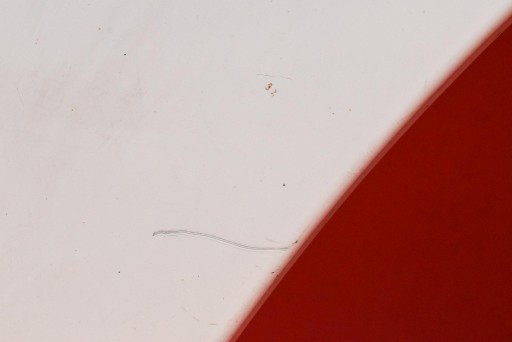 fender right front front EWP PEUGEOT PARTNER 3 III 18-24