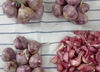 Часник польський Harnaś Purple 1 кг Еко