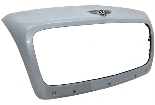 BENTLEY CONTINENTAL GT GTC cover grila grill grille 3W3853653F 3W3853651F