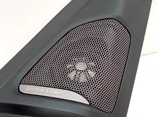 moulding door frame HARMAN KARDON right front 7356346 Bmw X6 II F16