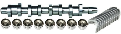 K3002S - КПЛ СТАЛЬНОЙ РАСПРЕДЕЛИТЕЛЬНЫЙ ВАЛ VW AUDI 1.9 2.0 BLS BMM