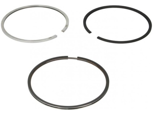 800071110000 - ПОРШНЕВІ КІЛЬЦЯ IVECO EUROCARGO I-III 3.9 5.9