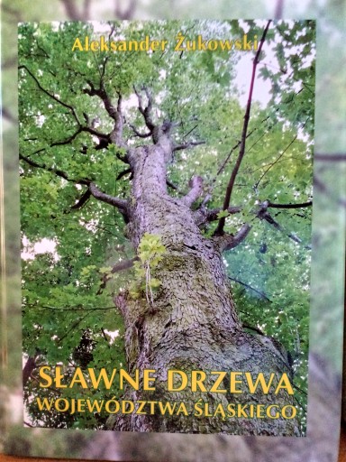 Sławne drzewa województwa śląskiego