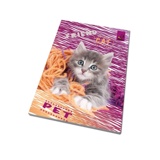 Зошит А6 Бі-бі Різнобарвний