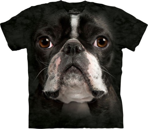 Boston Terrier Face - The Mountain L