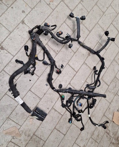 bundle of the engine Citroen DS7 Crossback 9834202280