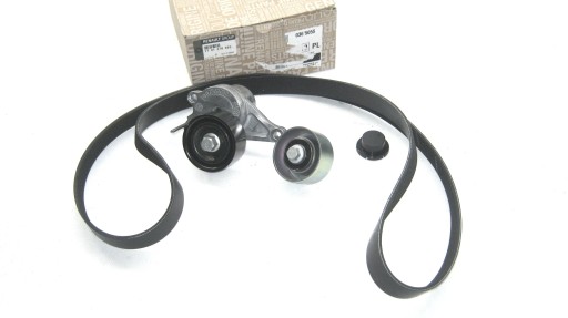 7701478493 - НАТЯЖИТЕЛЬ РЕМЕНЬ РОЛИК LAGUNA III 2.0 DCI ОРИГИНАЛ